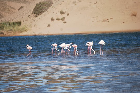 Tour image 1
