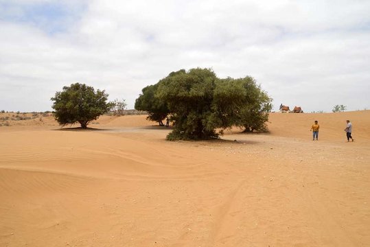 Tour image 1