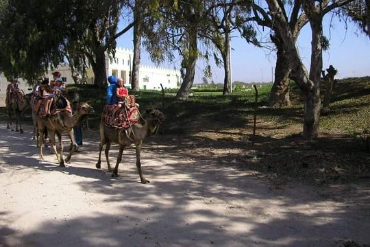 Tour image 8