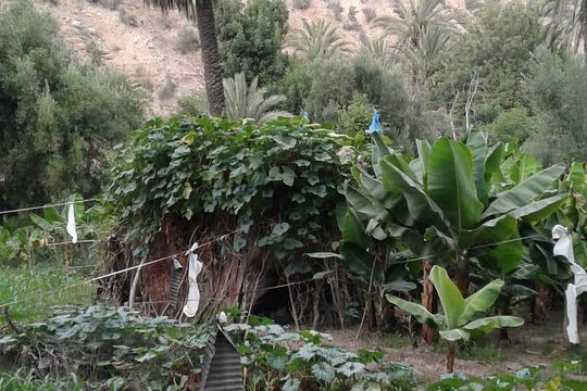 Tour image 9