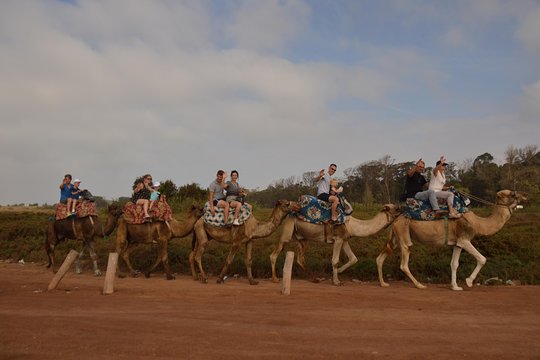 Tour image 3