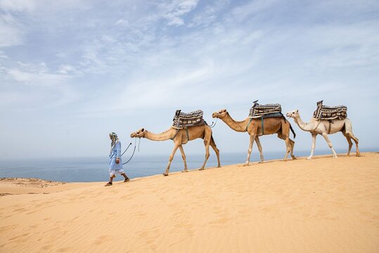 Tour image 7