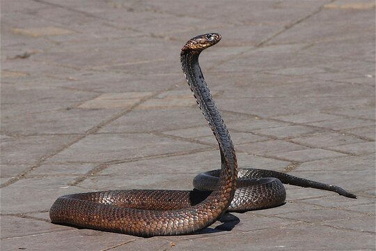 Tour image 13