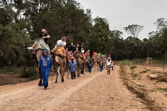 Tour image 11